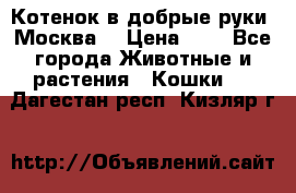Котенок в добрые руки. Москва. › Цена ­ 5 - Все города Животные и растения » Кошки   . Дагестан респ.,Кизляр г.